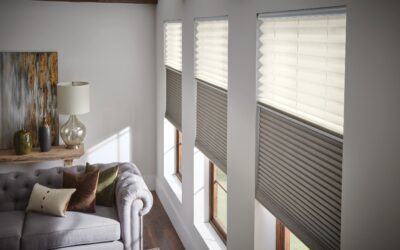Energy-Efficient Window Shades in Hiawatha