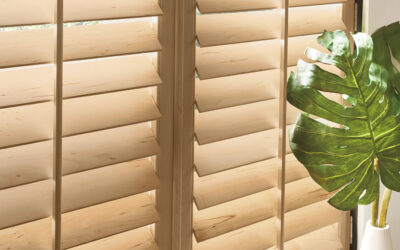 Plantation Shutter Installation in Marion: Elevate Your Home with Timeless Style and Functionality