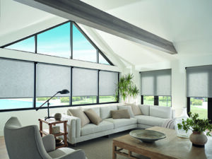 smart shade window blinds alexa