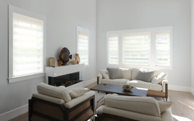Discover the Elegance and Functionality of Norman PerfectSheer Dual Shades in Eastern Iowa